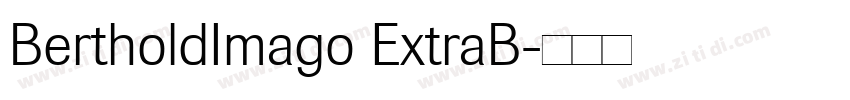 BertholdImago ExtraB字体转换 BertholdImago ExtraB字体转换